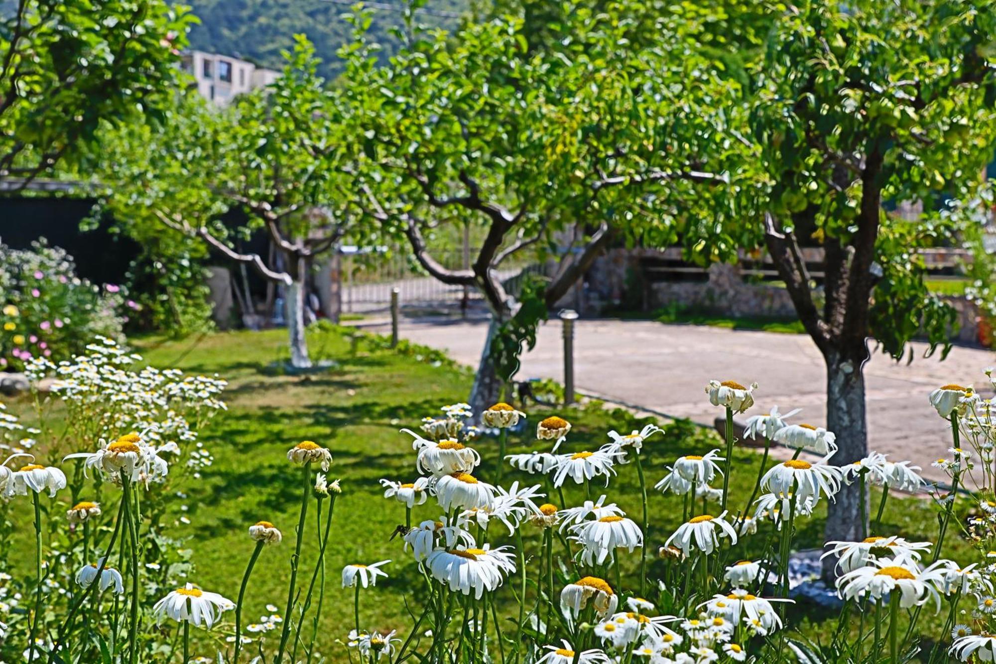 Holiday House Kubrat Sapareva Bania Exterior foto