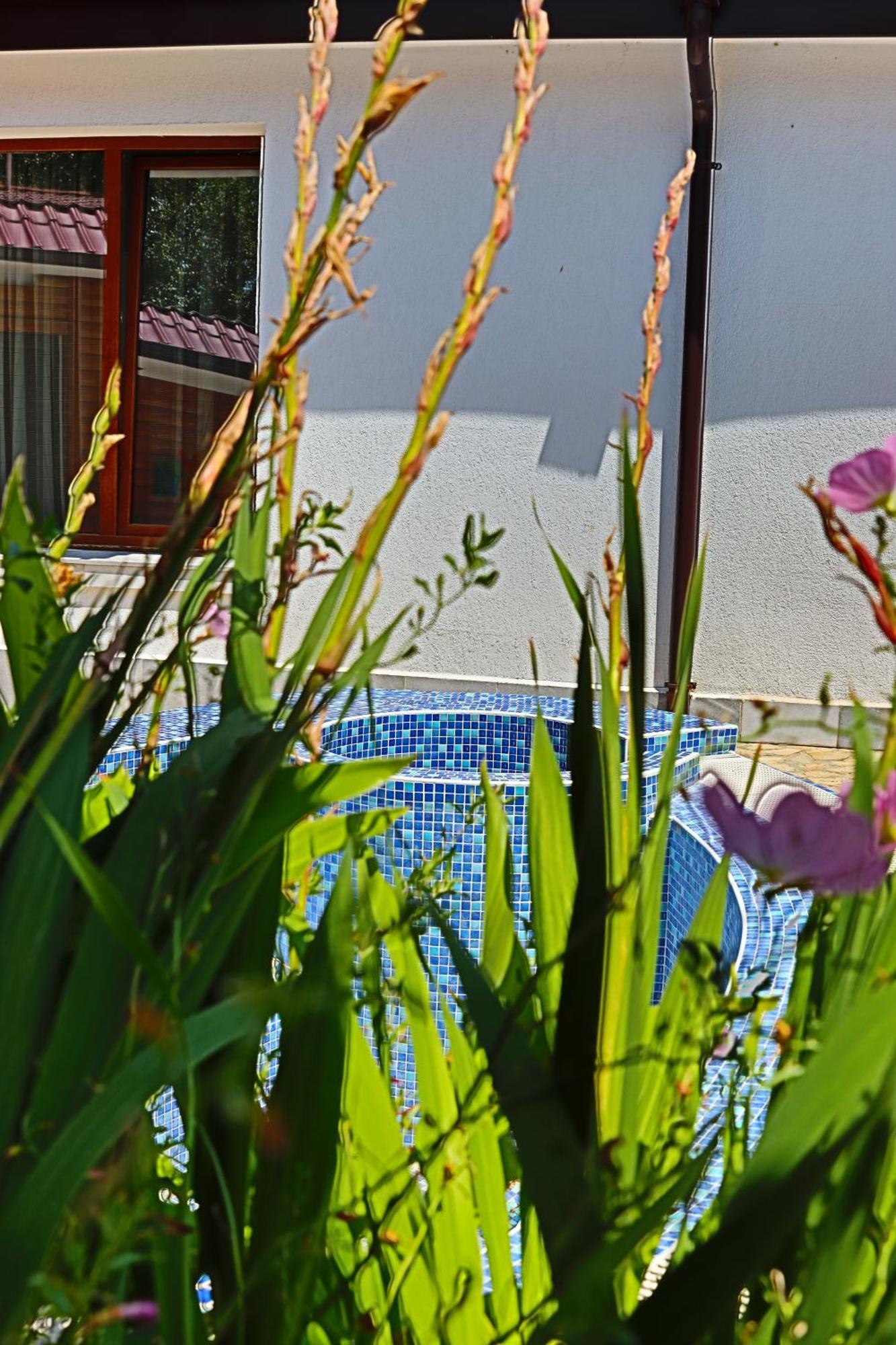 Holiday House Kubrat Sapareva Bania Exterior foto
